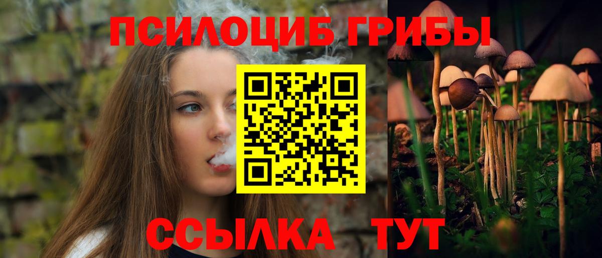 Псилоцибиновые грибы Magic Shrooms Светлоград