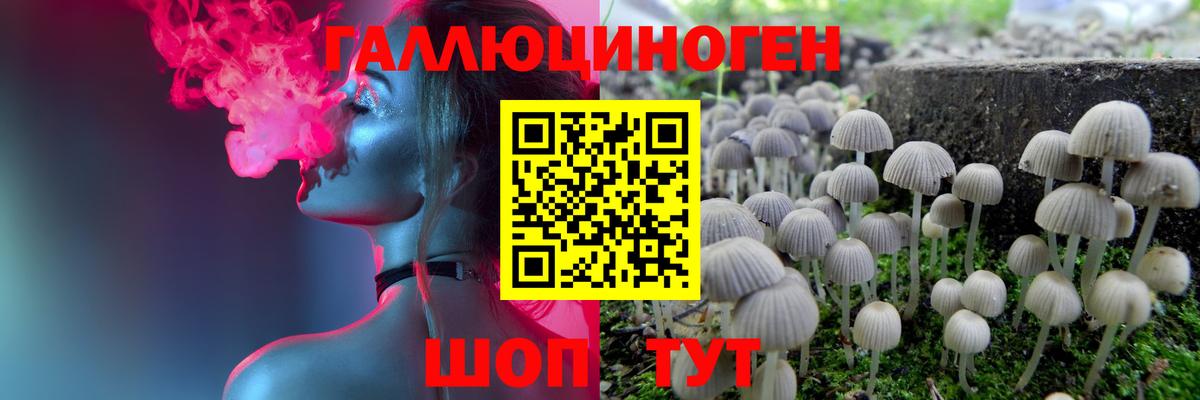 купить наркотики цена  Псилоцибиновые грибы мухоморы  Светлоград  Вход с VPN  Галлюциногенные грибы прущие грибы 